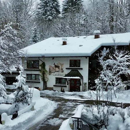 Emma - Ihre Allgaeu-auszeit Mit Hund